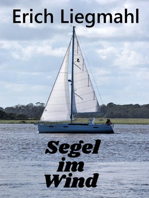 cover image of Segel im Wind
